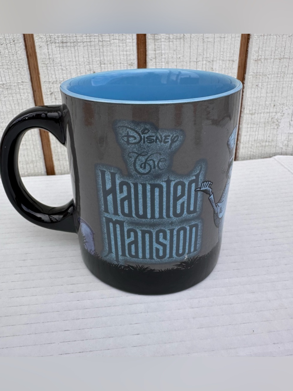 Disney Haunted Mansion Gray Exterior with Blue Interior Ceramic Mug